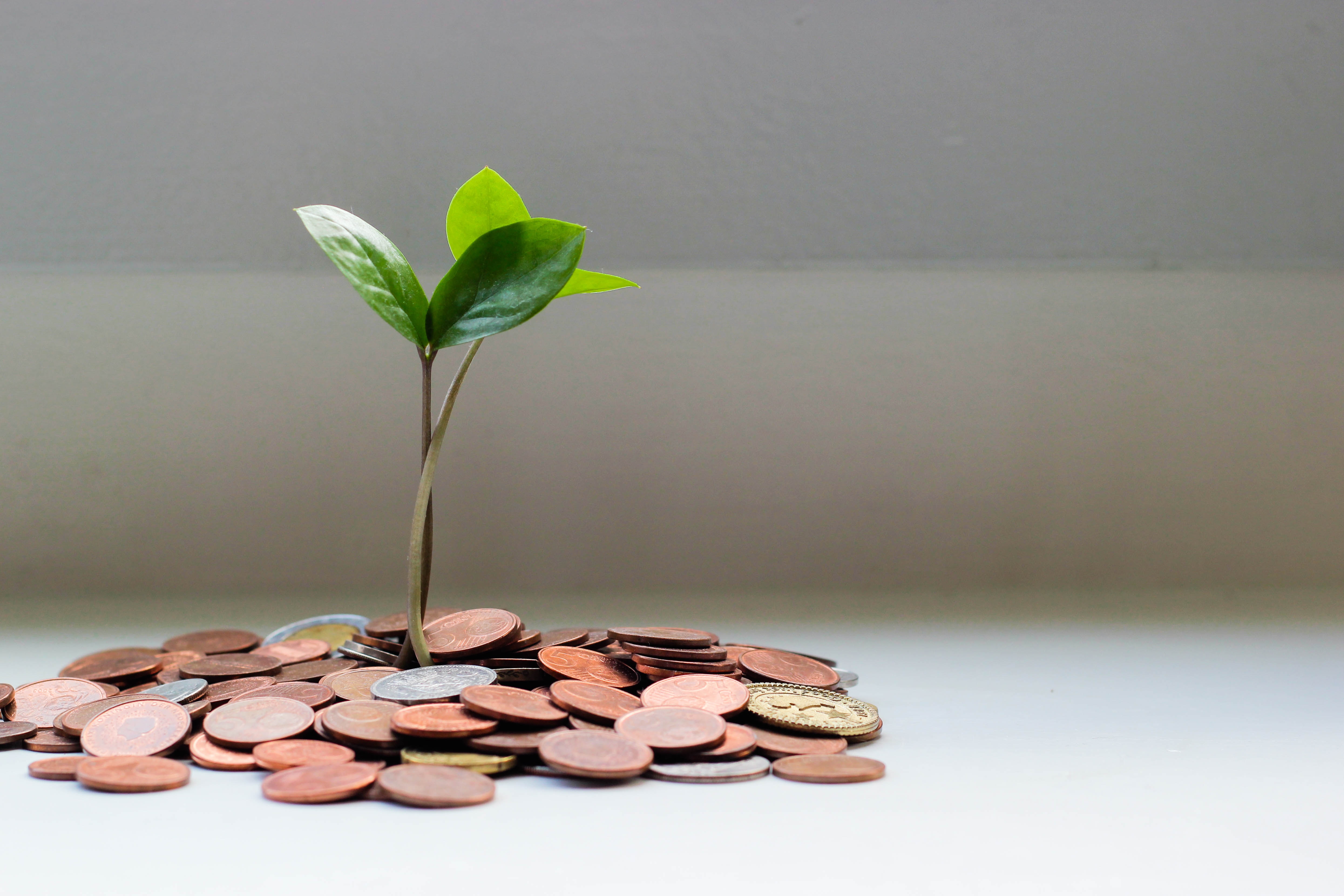 How to raise your credit rating